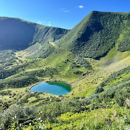 Mountain Nest