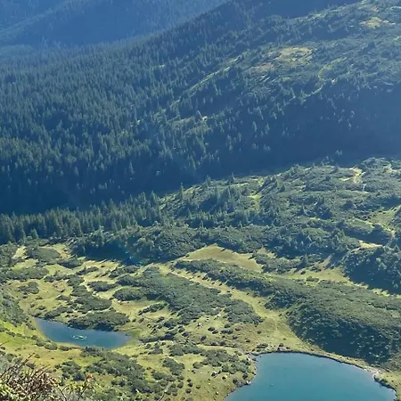 Mountain Nest